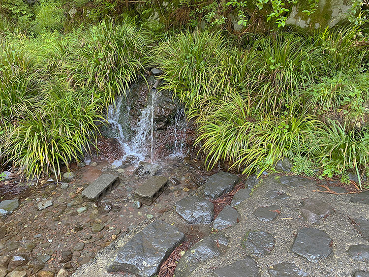 Found 2 blocks in the spring water. Put both feet here and leave them to fetch water.