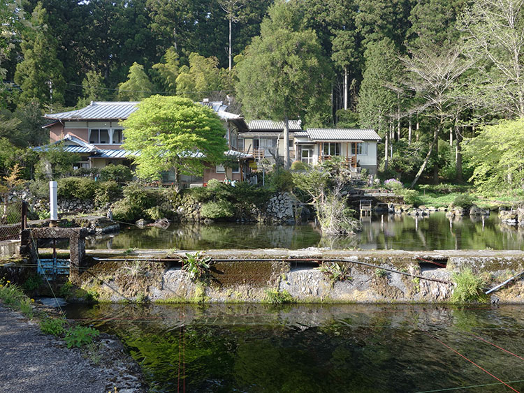 Spring water is drawn into the residence to create a Koi pond. It makes part of the garden of the house.