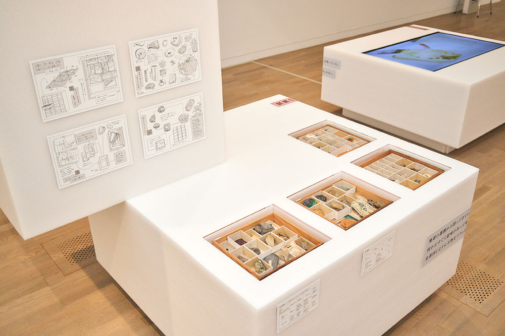 Installation view: Wakayama Prefecture, Tanabe City by Haruka Misawa, DESIGN MUSEUM JAPAN Exhibition at The National Art Center, Tokyo, Japan, 2022