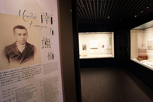 Minakata Kumagusu Museum