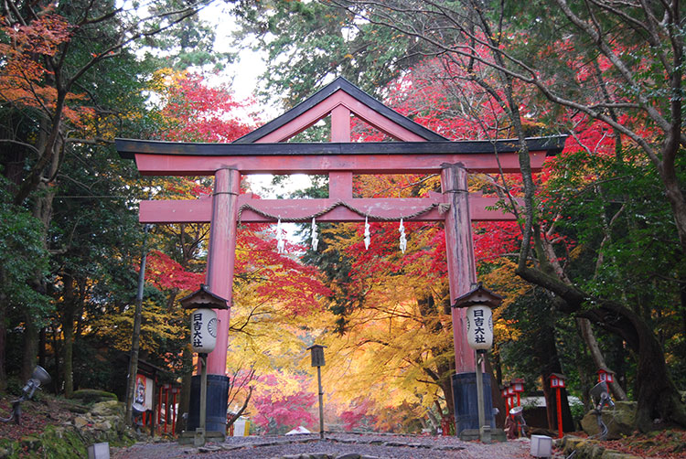 Photo courtesy of Biwako Visitors Bureau Public Interest Incorporated Association