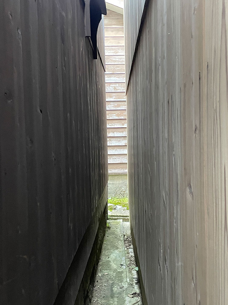 Gaps and crevices Nishizawa found in Shukunegi Photo: Ryue Nishizawa