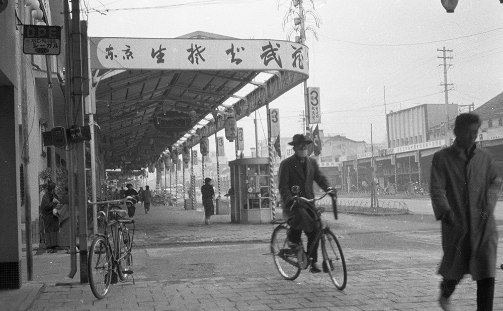 Photo: Miyazaki City