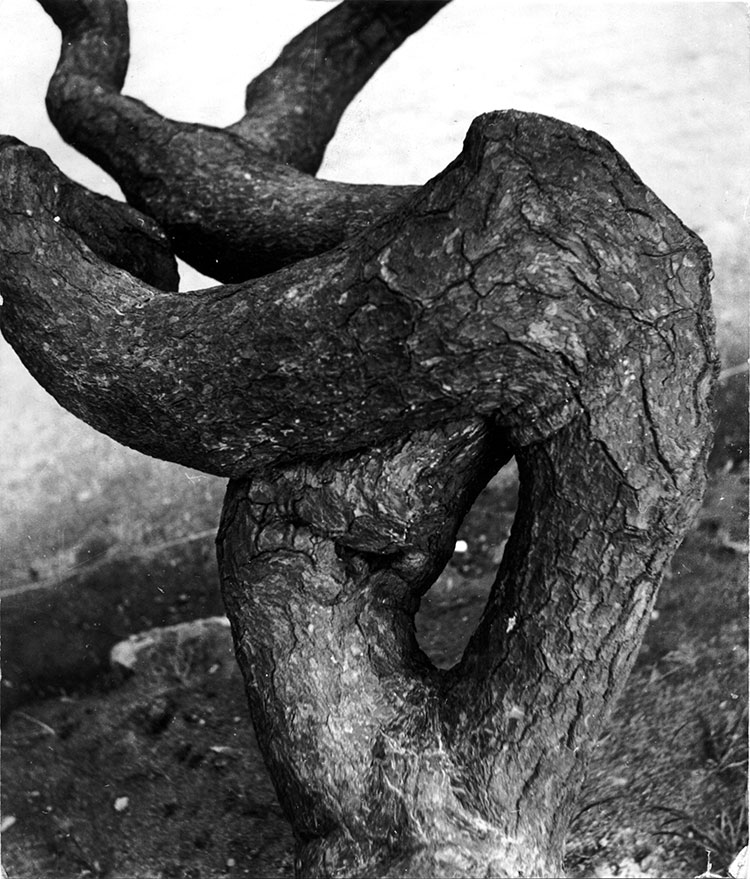 Photographs by Sori Yanagi Courtesy of Yanagi Design Office