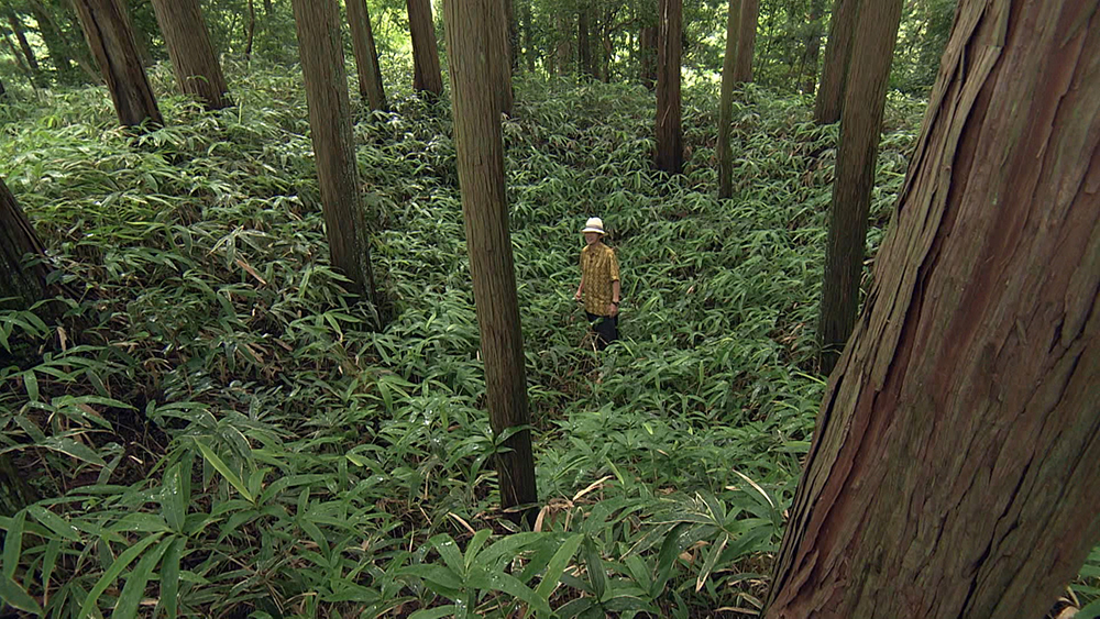 Photo: Tsukamoto descends into an ancient ice chamber.