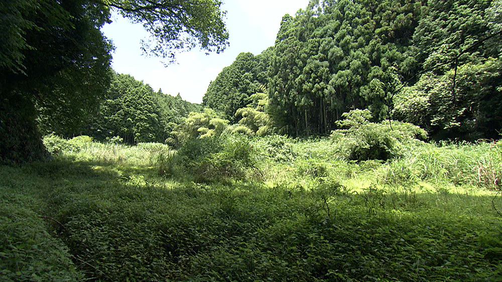 Photo: A site thought to be of a pond where ice was made. The valley lies in shadow and there is a strong through wind, making this a good location for water flowing down from the ridges to freeze.